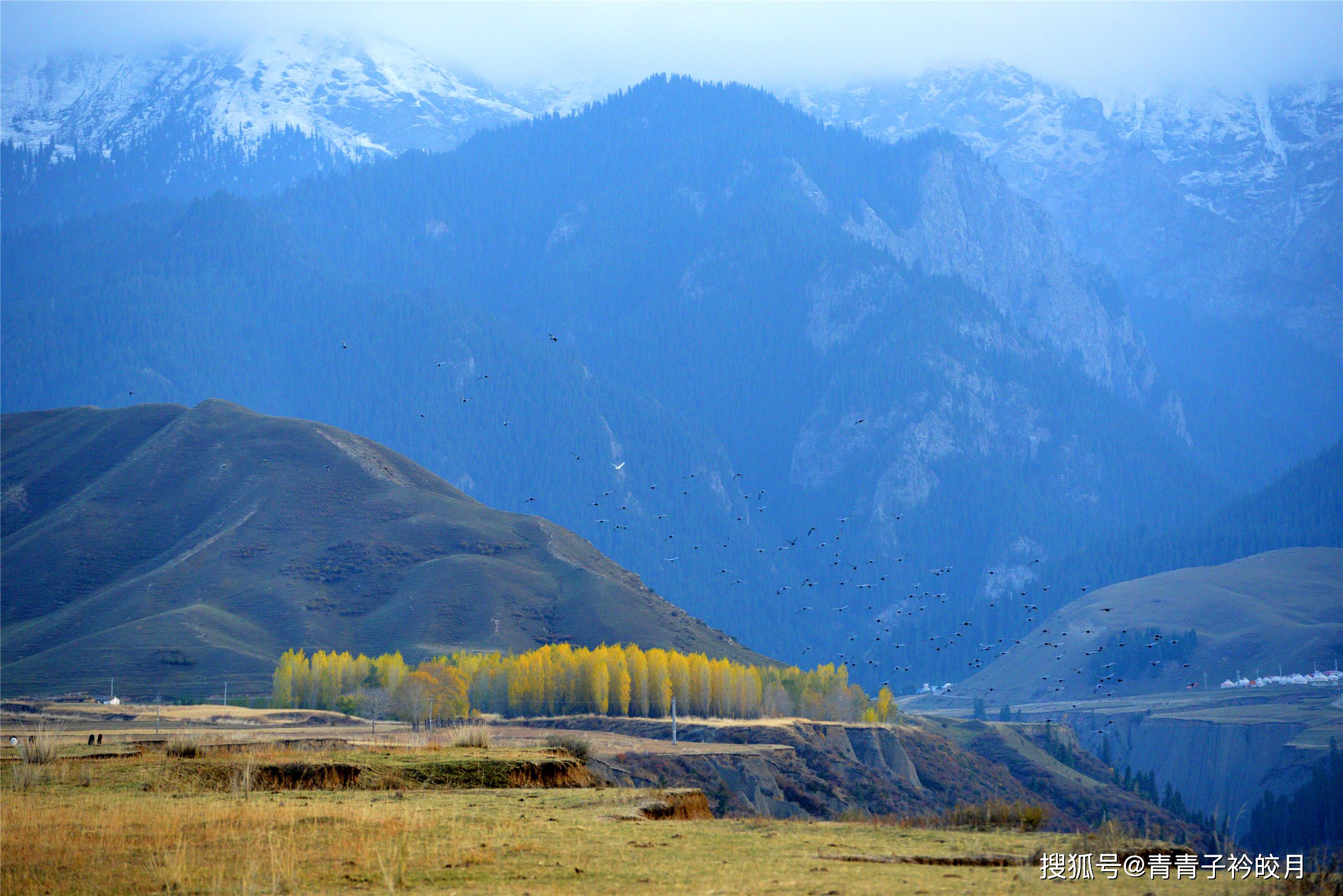 新疆有个大峡谷深藏闺中无人识离网红安集海大峡谷只有四十公里
