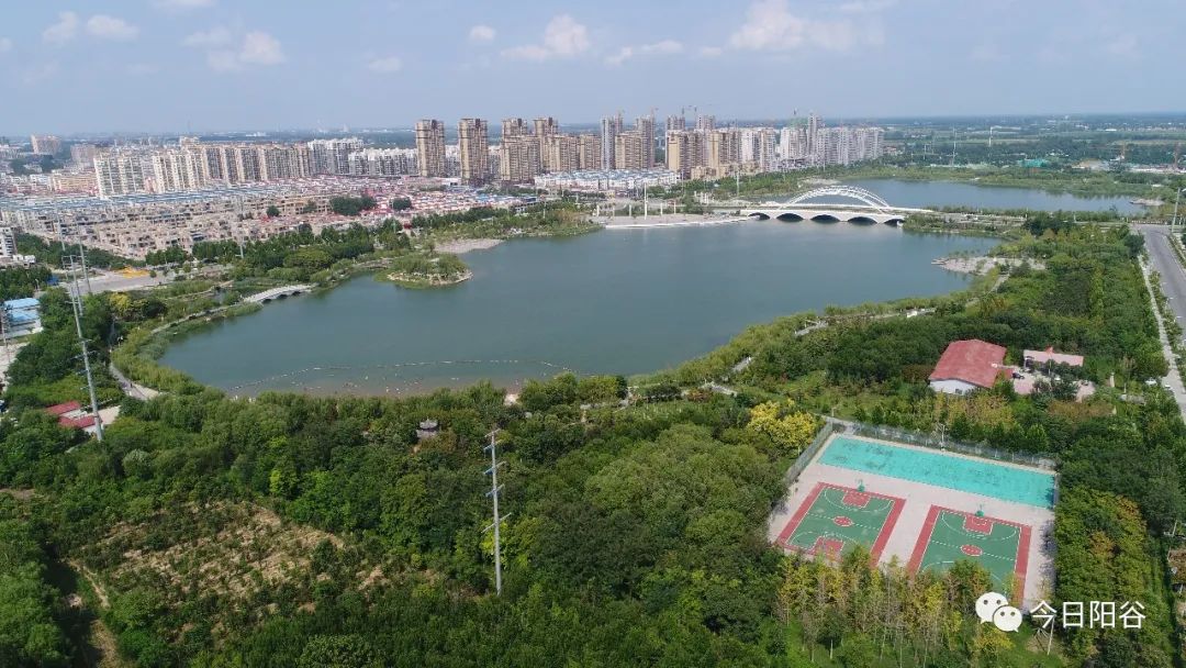 你好,我叫阳谷!