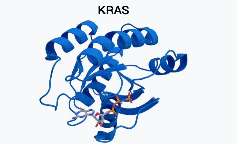 ras 基因家族的三个成员 kras,hras 和 nras 是编码高度同源的 ras 小