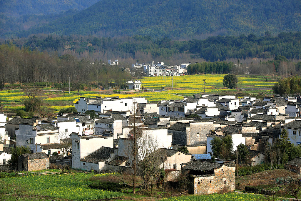 安徽黄山:皖南乡村春色如画