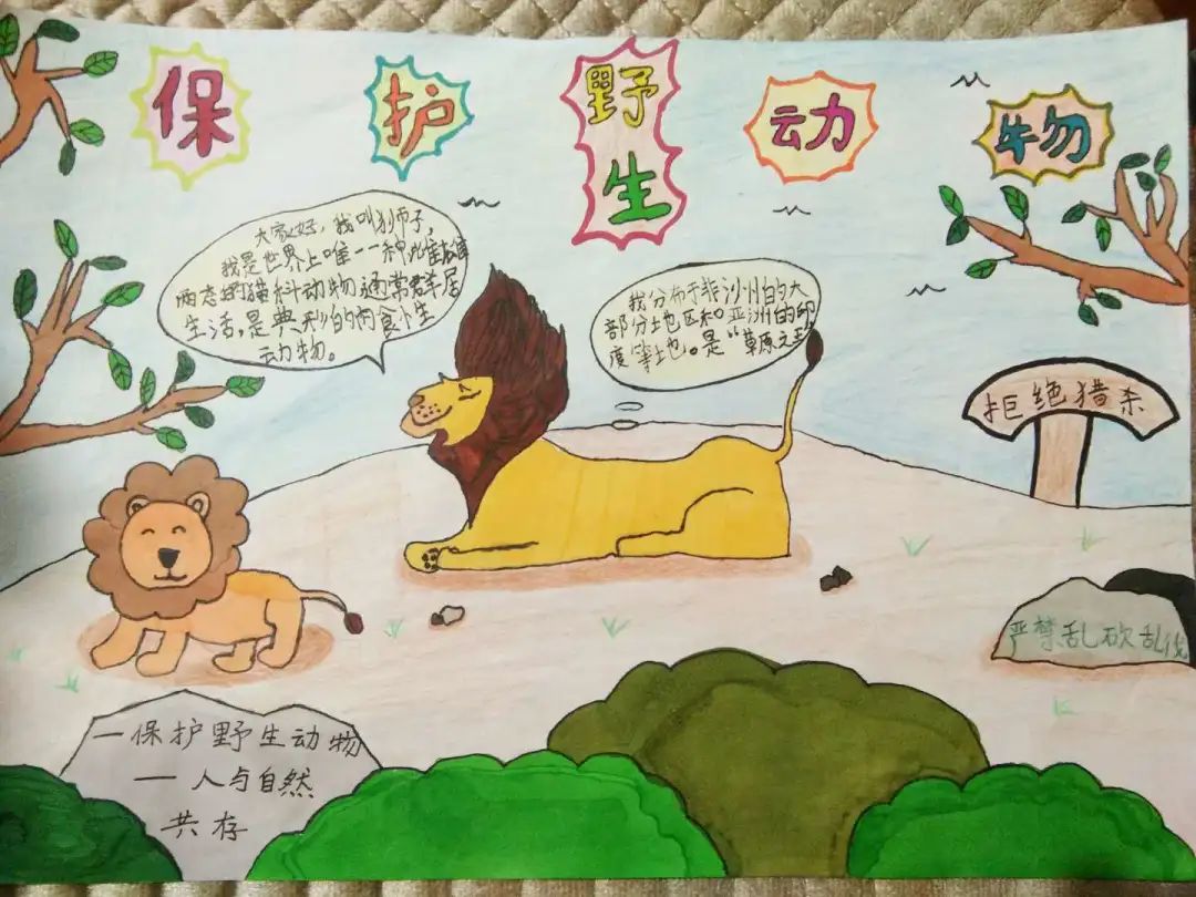 儒雅学子保护野生动物从我做起红星实验小学二年级作品展