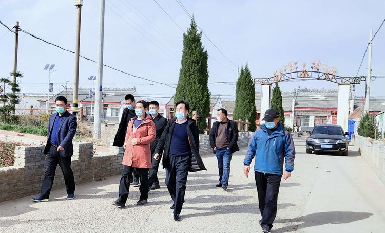 合阳县人民政府副县长王改来坊镇渤海社区督导乡村振兴工作