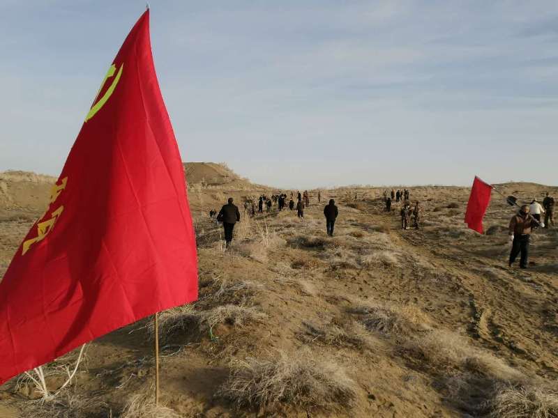 八师121团开展义务植树活动掀起春季植树造林热潮