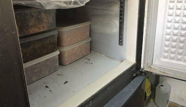 恶心!柳州一女子点外卖吃到苍蝇卵 维权时虫卵竟已变成活蛆