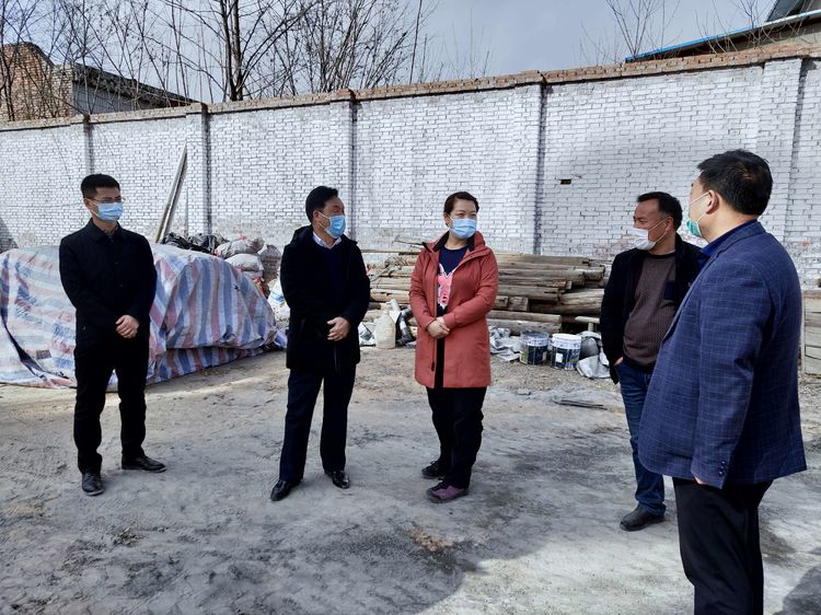 合阳县人民政府副县长王改来坊镇渤海社区督导乡村振兴工作