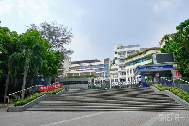 厲害了!深圳這些中學(xué)又要在全國出名了(圖18) 厲害了!深圳這些中學(xué)又要在全國出名了(圖18)