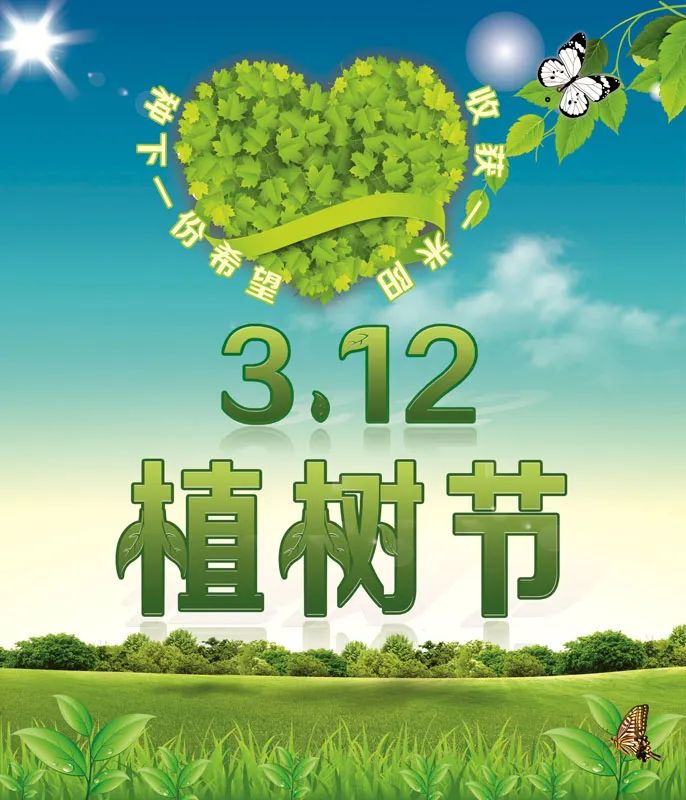 传递人——刘海敏(水烛)植树造林,改善环境,森林进城,园林下乡,城市