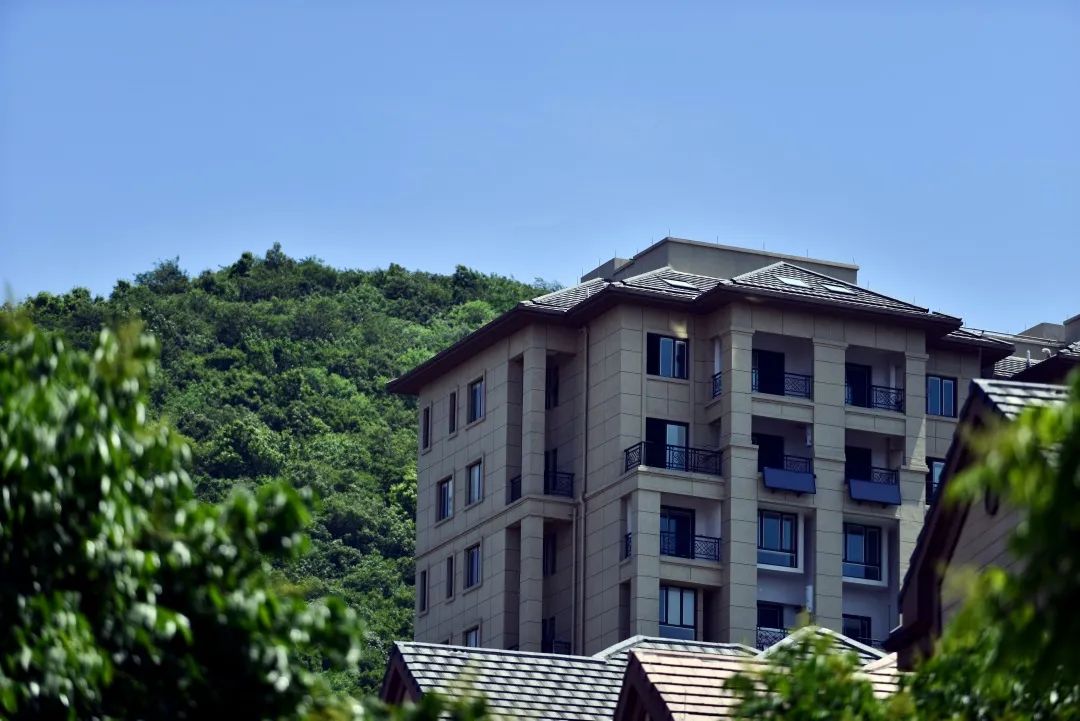 春日序曲郁见新湖官宣新湖仙林翠谷诚聘业主代言人