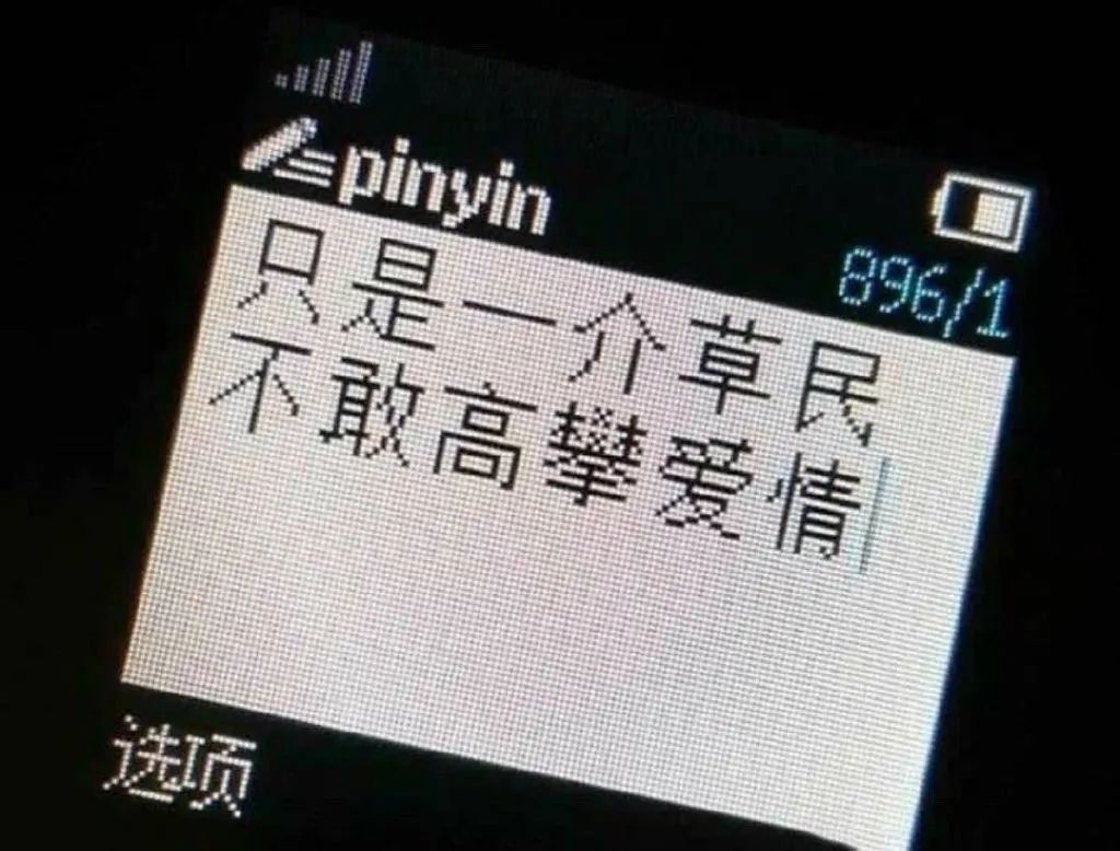 呢却每次都在为他人的绝美爱情落泪嘴上说着不相信爱情虽然每立每倒