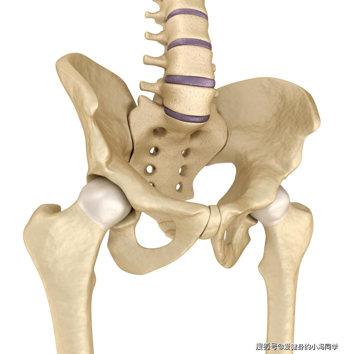 t杠划船后背部受不了修正髋关节铰链不可或缺避免下背部疼痛
