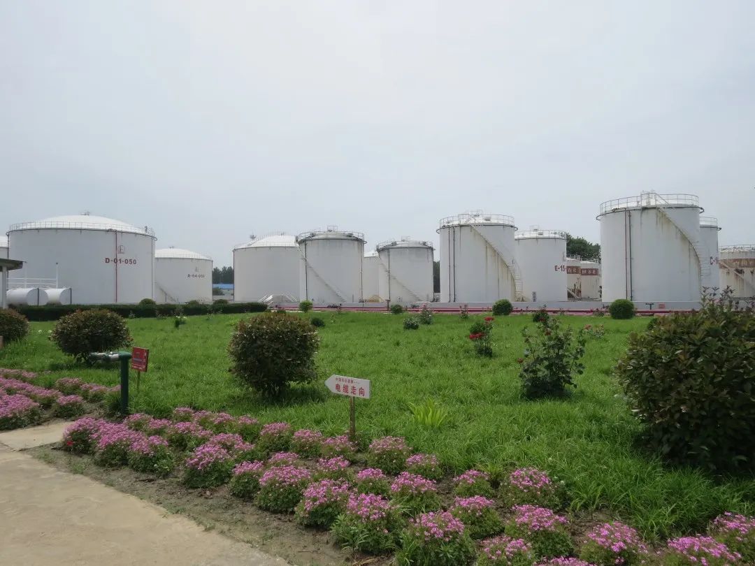 周口企业建站_(周口企业网站建设)