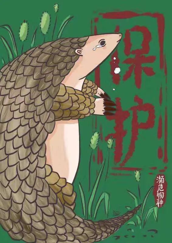 【抗击疫情,从我做起】 保护野生动物,从我做起(亲子篇)写给穿山甲的