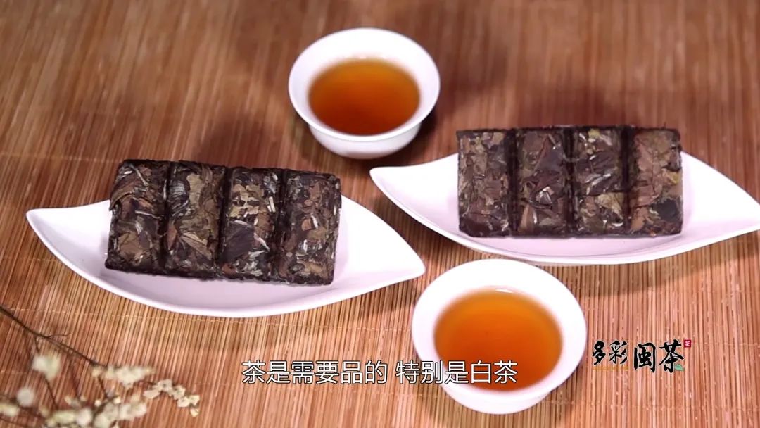 多彩闽茶匠心遇见林振传