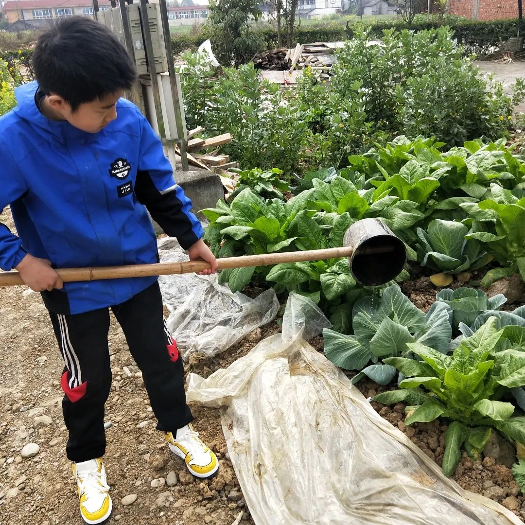 為激發學生的愛護植物,保護生態環境,共建健康的綠色家園的意識,西南