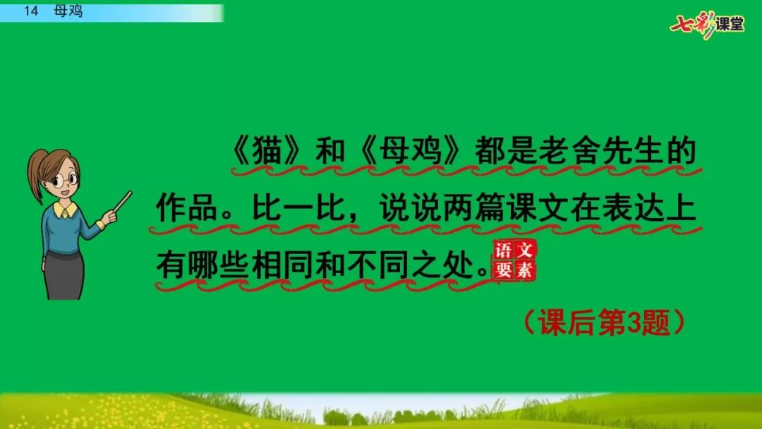 部編版四年級下冊第14課母雞圖文講解知識點梳理