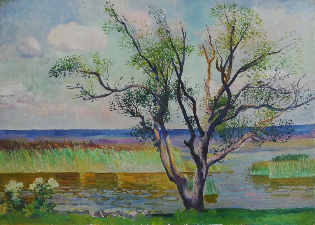 hello,树先生!今天是属于你的节日._达芬奇