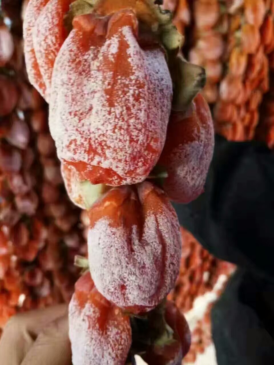 智能全自动冷风型柿饼烘干机