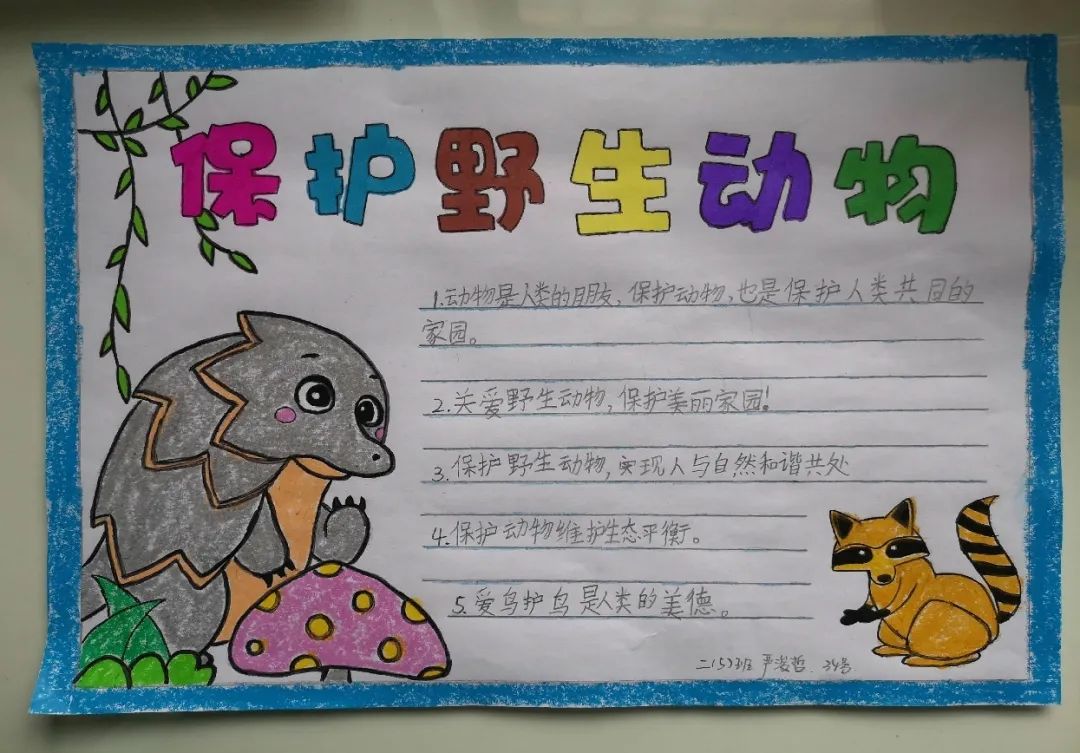 儒雅学子保护野生动物从我做起红星实验小学二年级作品展