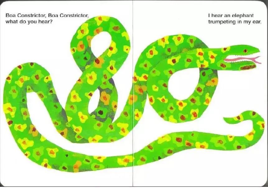 boa constrictor, boa constrictor, what do you hear?