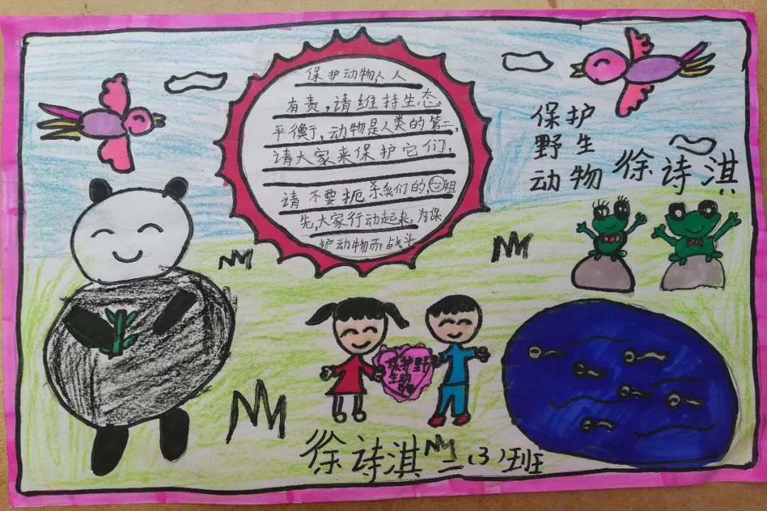 儒雅学子保护野生动物从我做起红星实验小学二年级作品展
