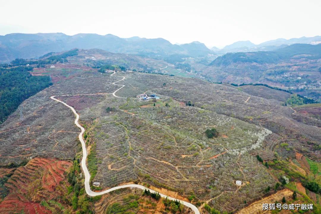 威宁县龙场图片