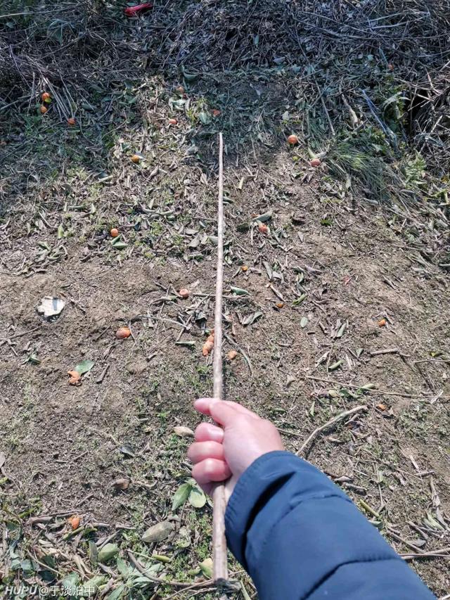 男人只要棍子在手,就能自己创造快乐!-搜狐大视野-搜狐新闻