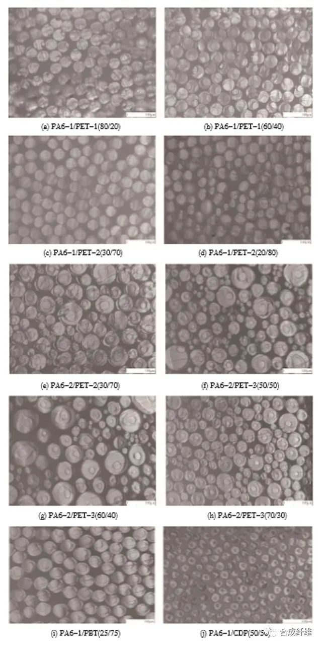 为服饰面料带来全新体验感的聚酰胺/聚酯皮芯复合纤维