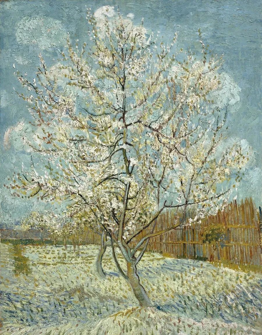 hello,树先生!今天是属于你的节日._达芬奇