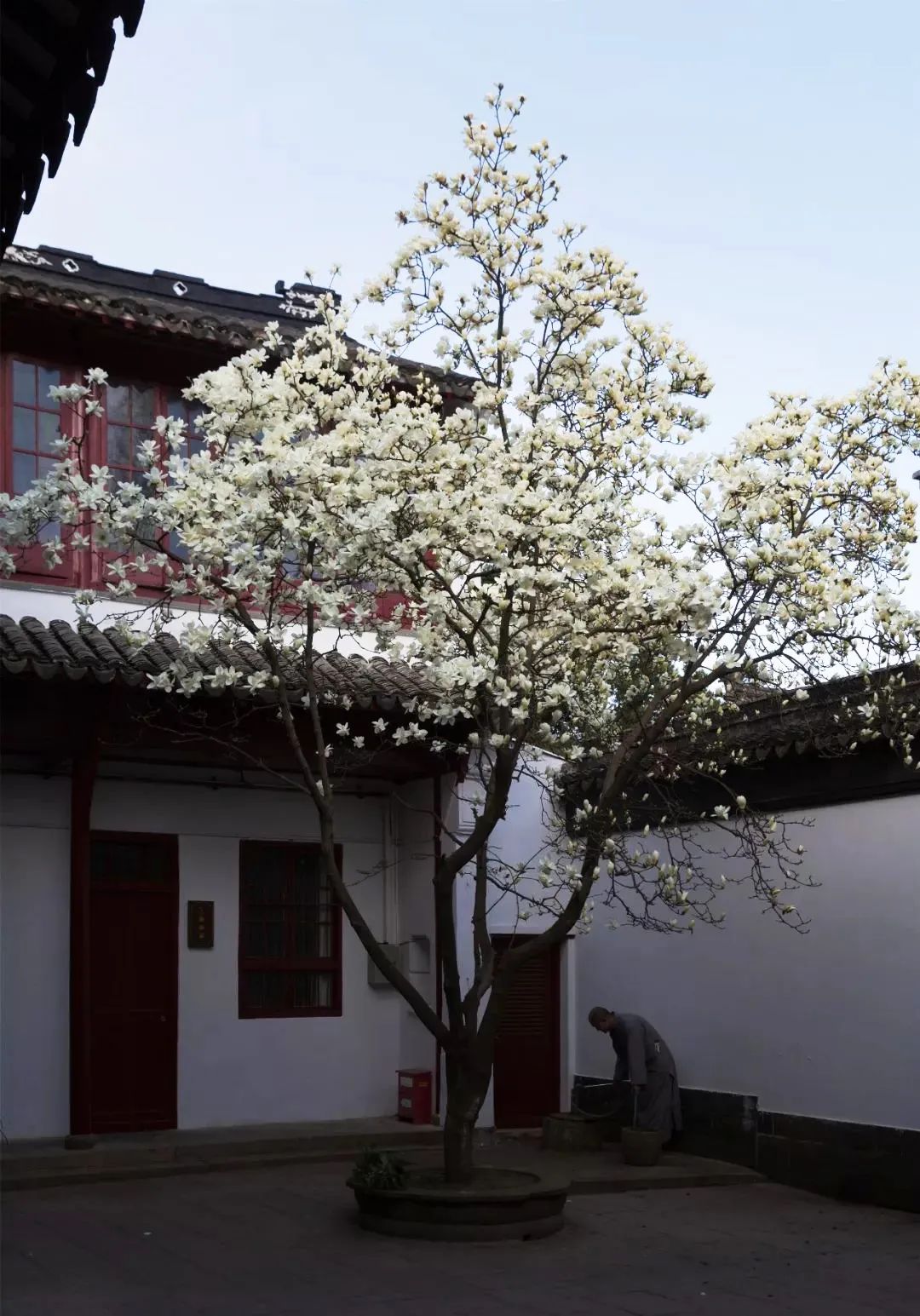 这也太美了吧!常熟人都不知道的赏春秘境|建议收藏
