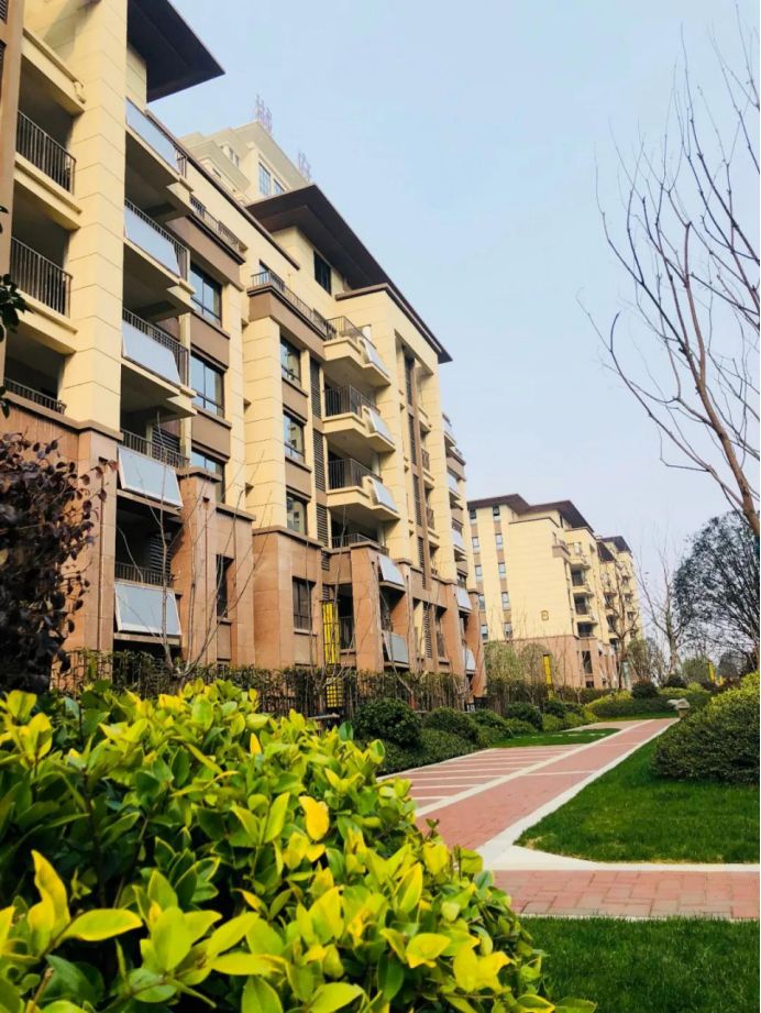 寻找东部新中心的高性价比低密洋房