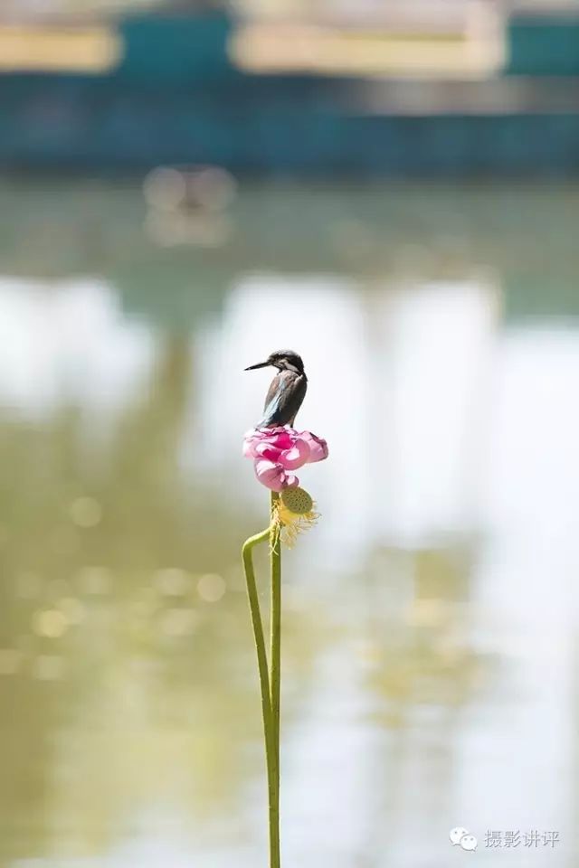 高调照片控制秘籍