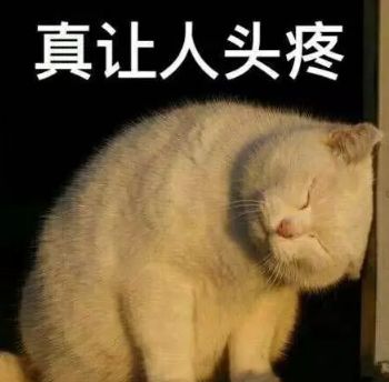 最让铲屎官头疼的狗狗6大恶趣味快看看你家狗子有没有