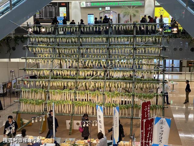 日本机场晒下1500根萝卜,得知用途后,游客点赞,你知道用途吗