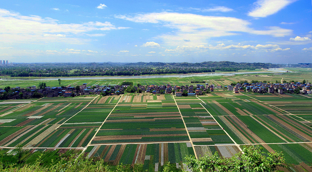 博客搜索_新浪搜索_新浪网