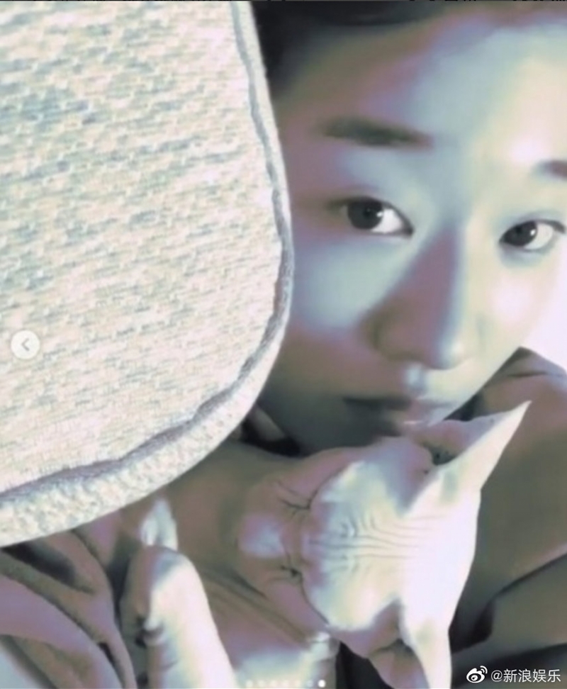 金宣雅在个人社交平台写道:"不知道该说什么,我没有