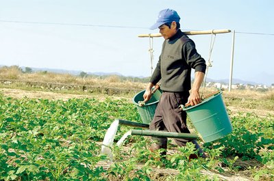 看看专家对农民挑粪水浇菜行为的说的这几句话