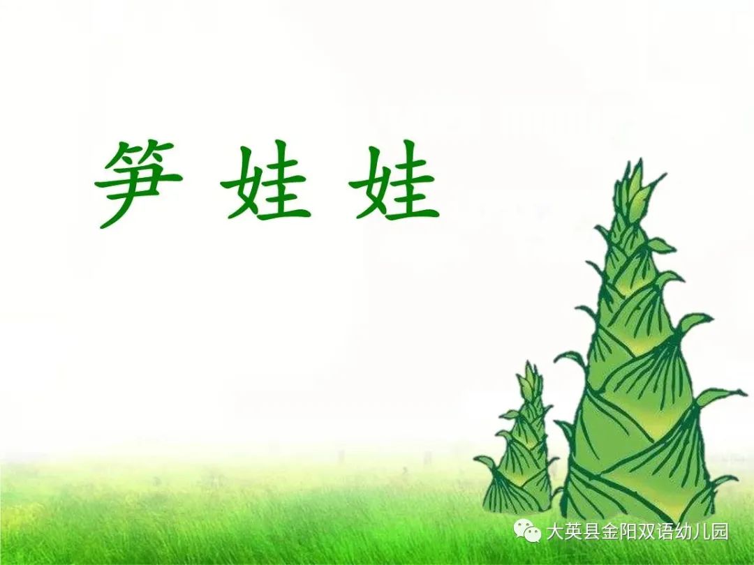 科学小实验蔬菜律动儿歌欣赏