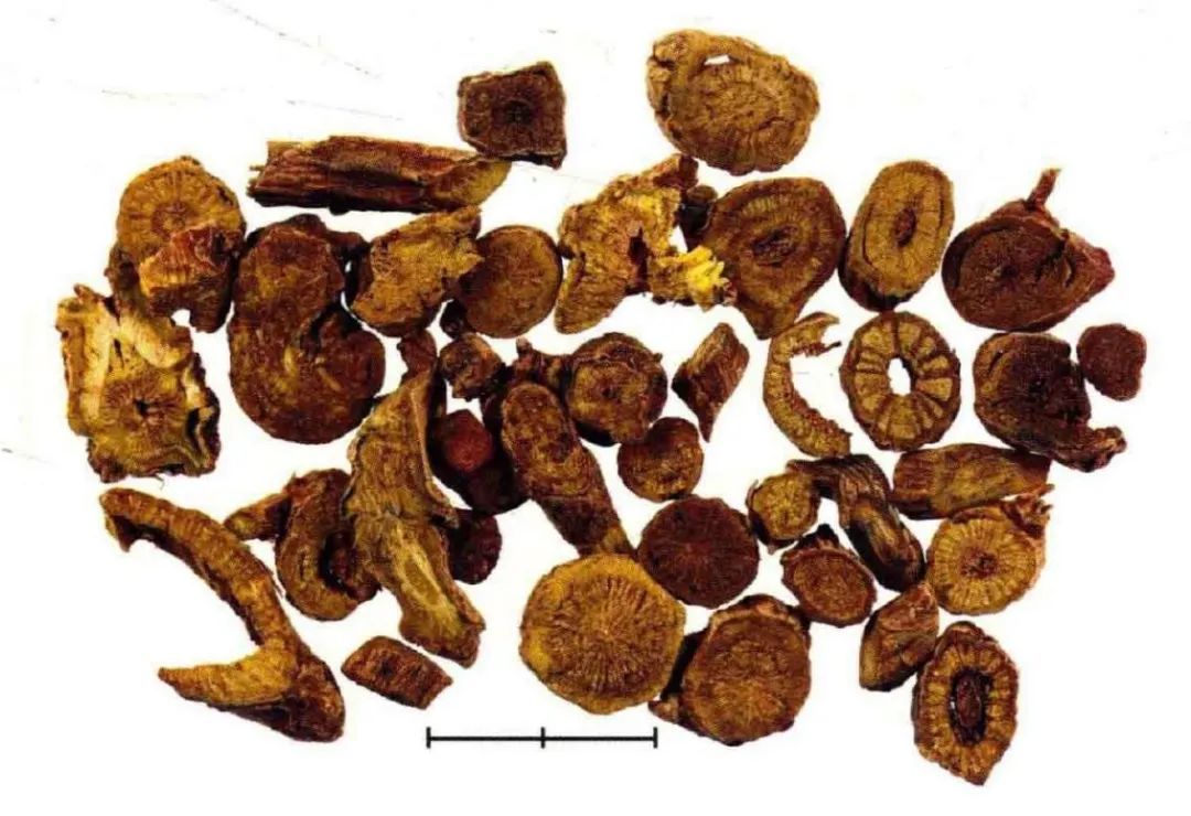 黄芩炭取黄芩片置于锅内,用武火加热,炒至药物表面黑褐色,内部深黄色