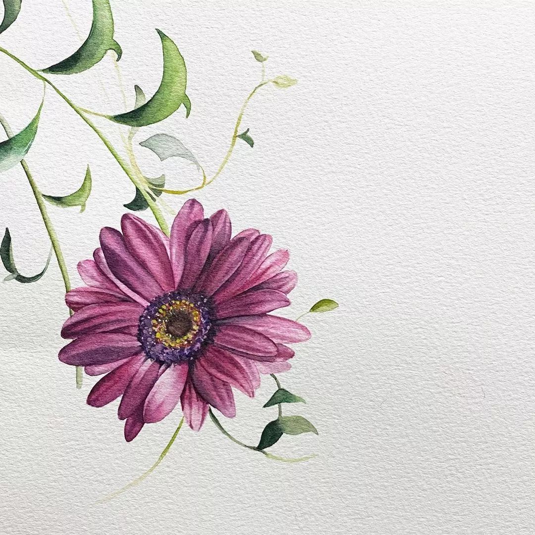 花与叶小清新风格的水彩花卉系列作品