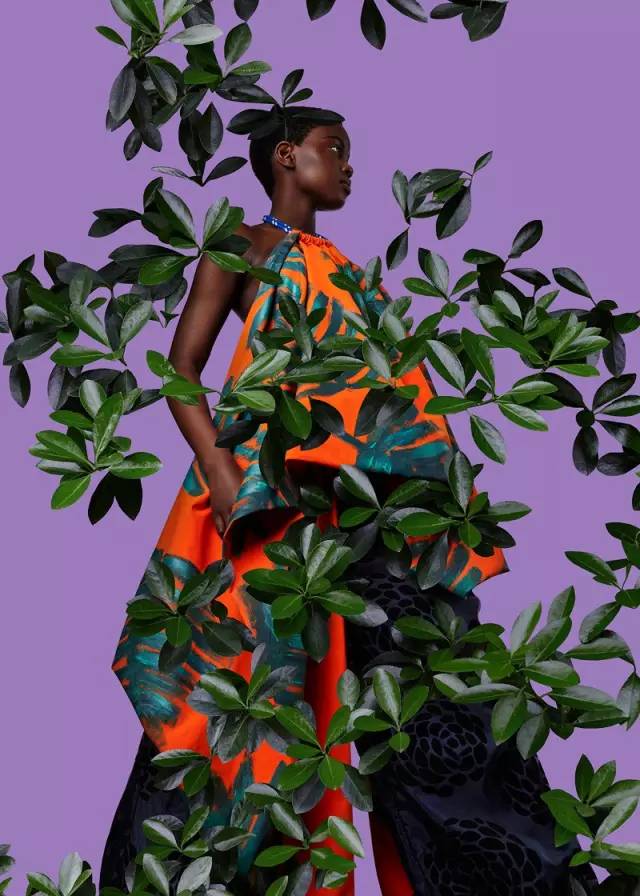 服装艺术启示我的ss16olyaoleinic