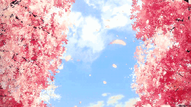 640_359gif 动态图 动图