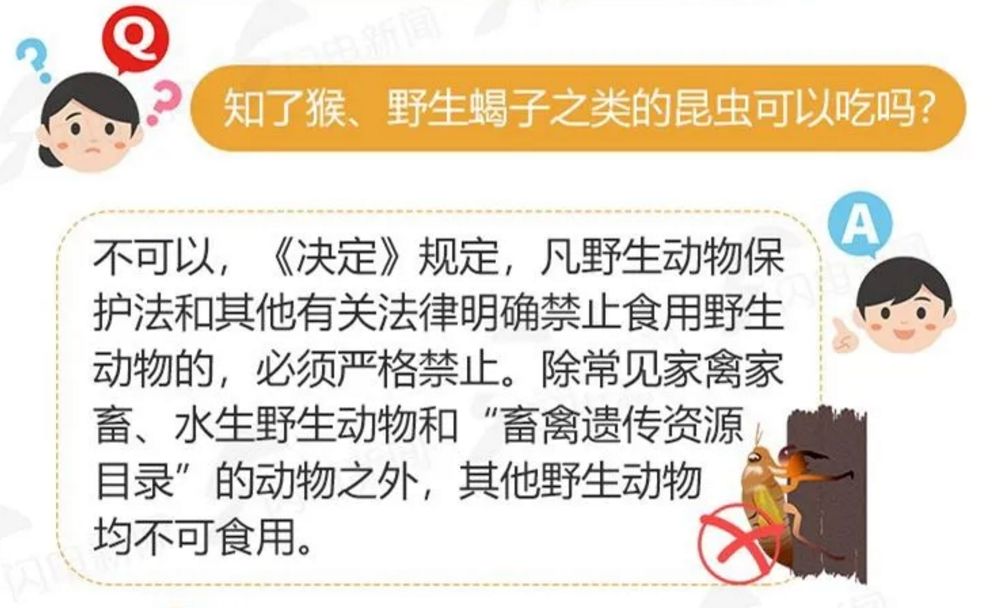 养殖户还能养吗?_金蝉