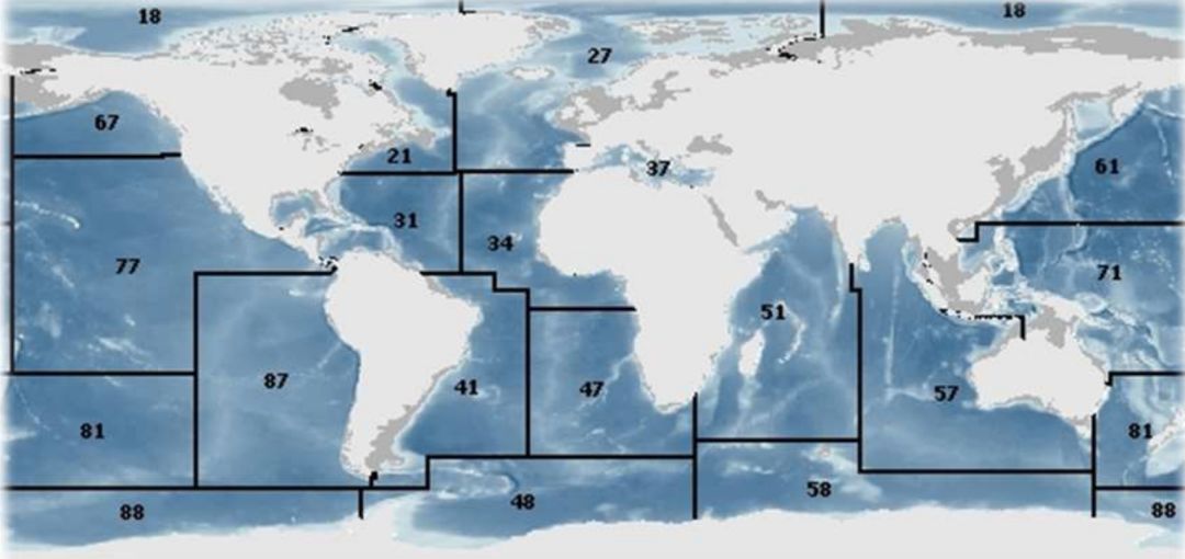 fao世界渔区划分.图片:fao.