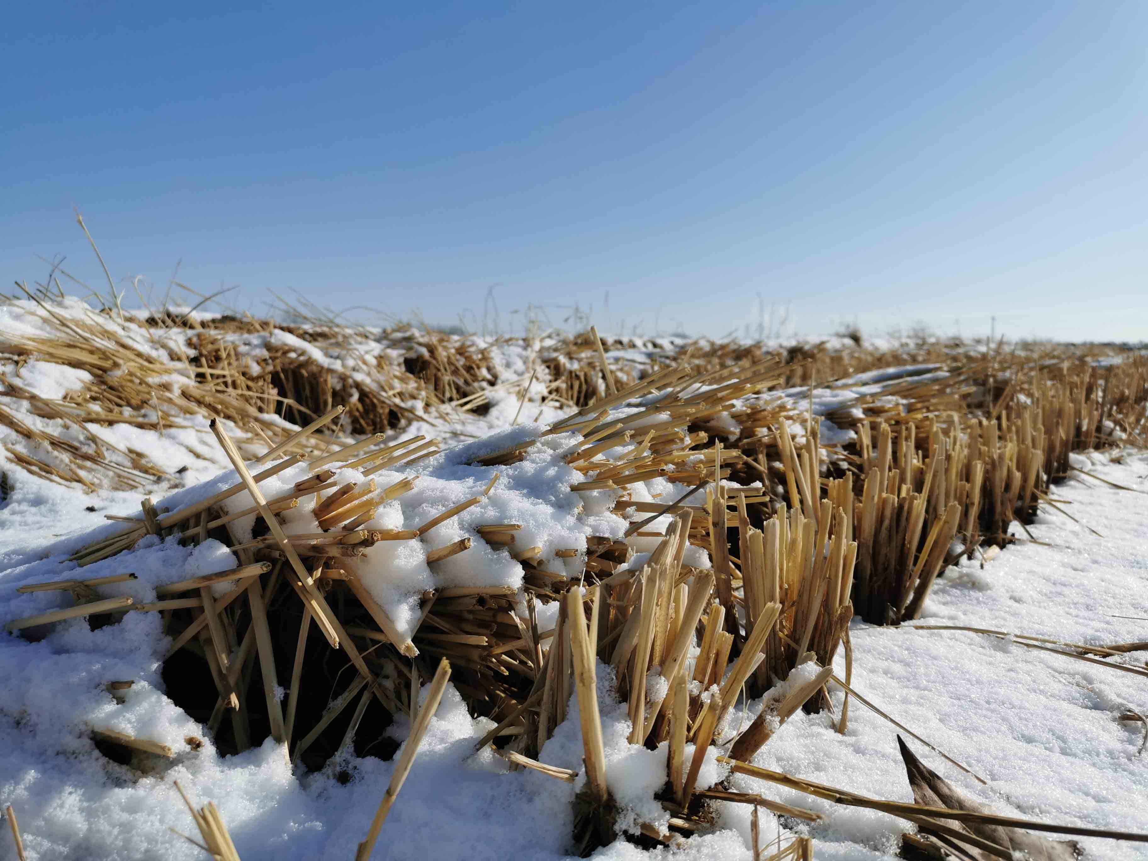 雪后远眺来家乡铁岭感受属于自己的诗和远方