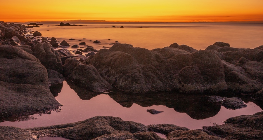 南京宁波齐发亿元消费券,家电厂商不能错过这轮政策东风-家电圈官网