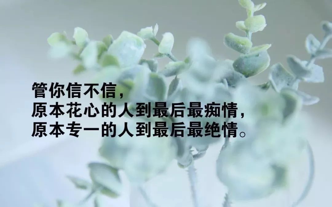 满腔全心全意的付出,还是会输,输给一种叫做新鲜感的玩意儿,你说可笑