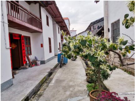 九峰镇坪石村喜获国家森林乡村称号古朴美观生机盎然越变越有魅力