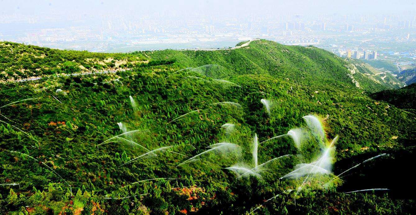 历朝历代植树造林最猛的帝王是哪位?_中国