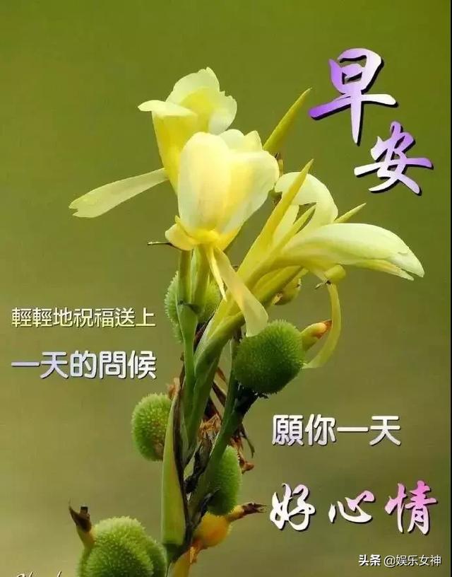 清晨最美祝福图片图片