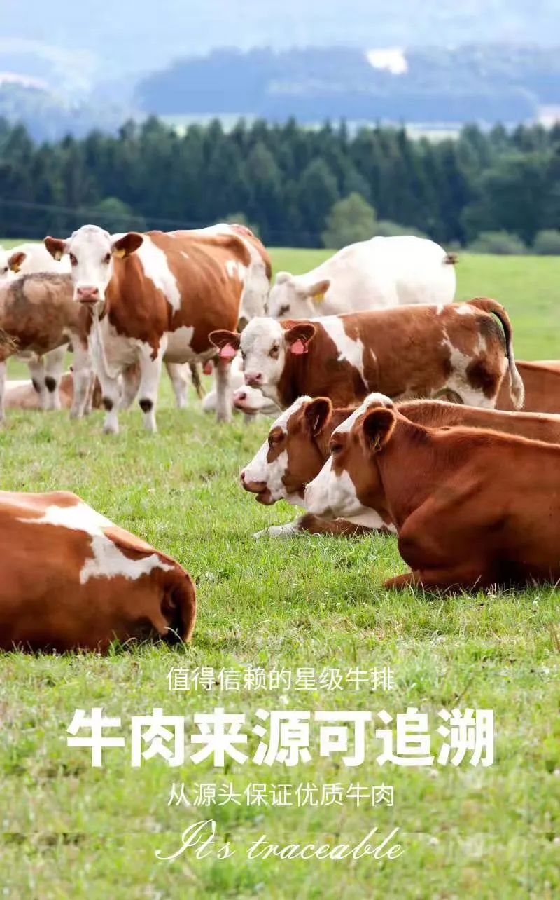 黄金牧场进口牛源的凡塔斯不必去米其林每块33元在家享